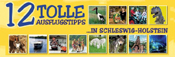 02_12_Tolle_Ausflugstipps_175x57
