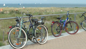 19_DSCF0016_Fahrrader_175x100