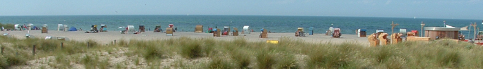 6yy_DSCF0020_Strand_700x100